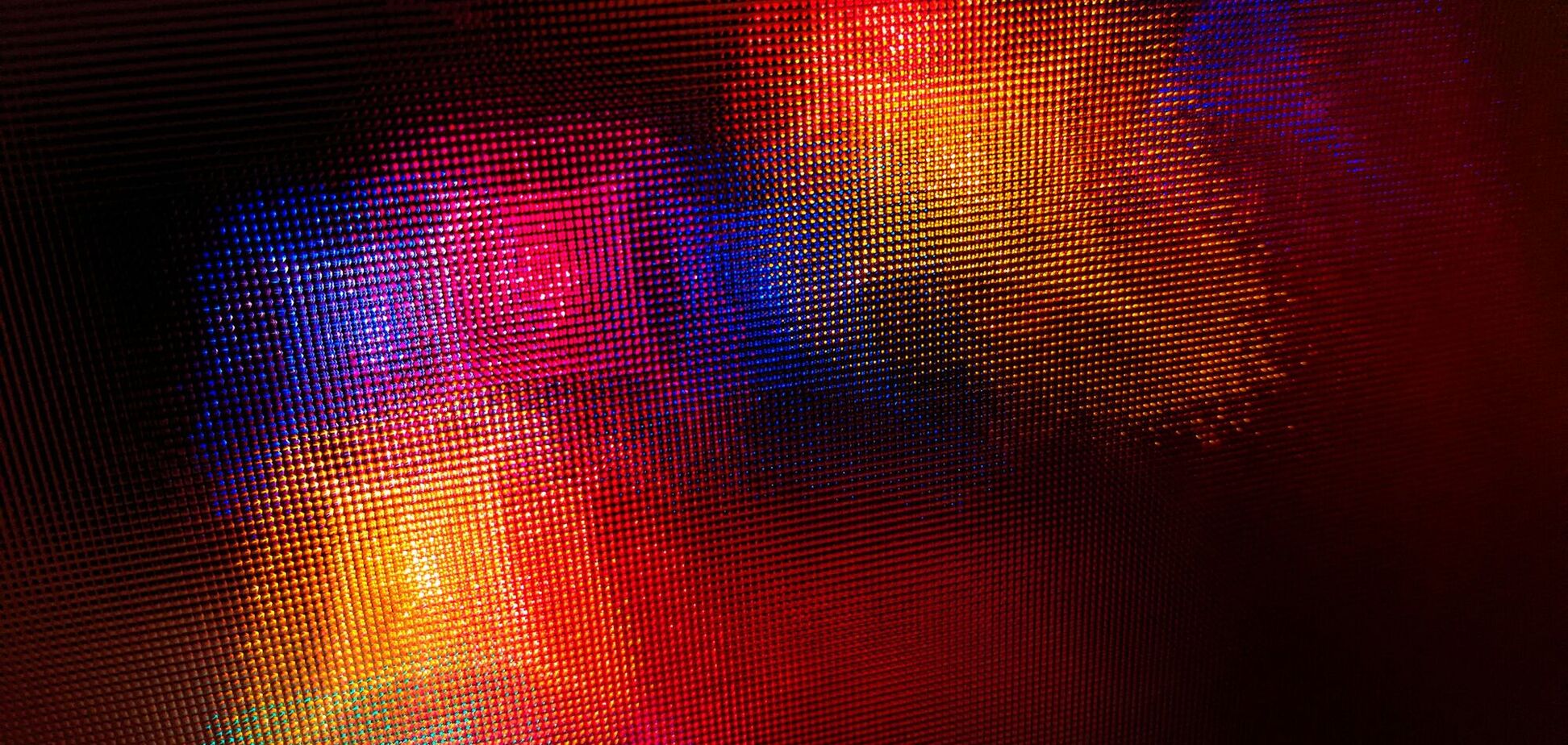 Живые существа излучают свет: ученые объяснили этот процесс