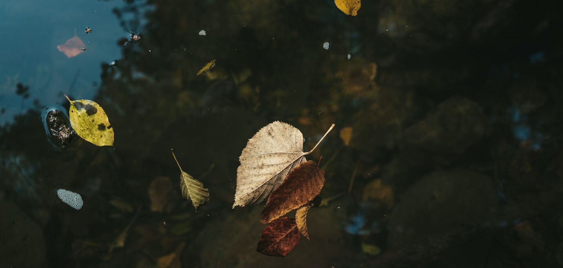 Яке свято відзначають 30 вересня: все про цей день