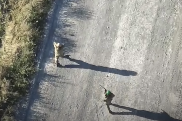 Под Покровском пограничники взяли в плен россиянина, которого отправили на штурмы после инсульта. Видео