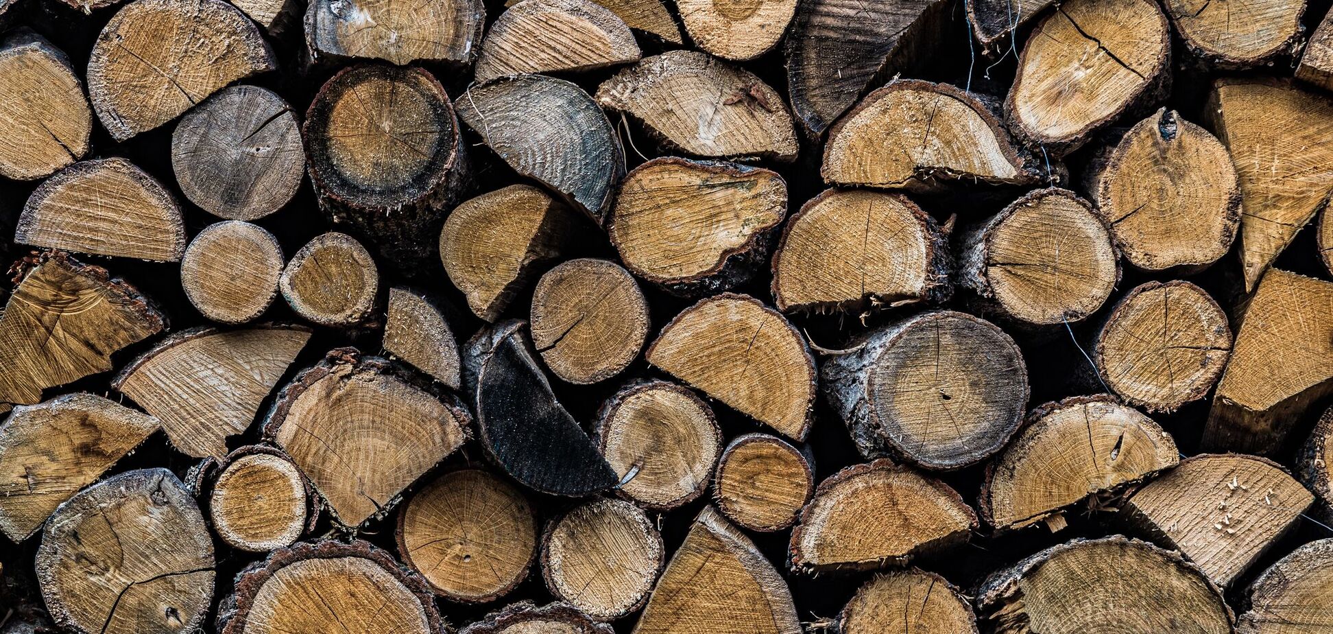 Где хранить дрова, чтобы всегда были сухими: полезные советы
