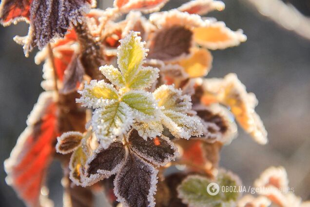 В Украину идут заморозки и похолодание: в Гидрометцентре озвучили детали