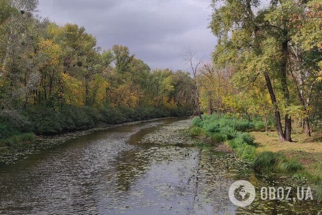 Без осадков и до +17°С: подробный прогноз погоды по Киевщине на 26 сентября