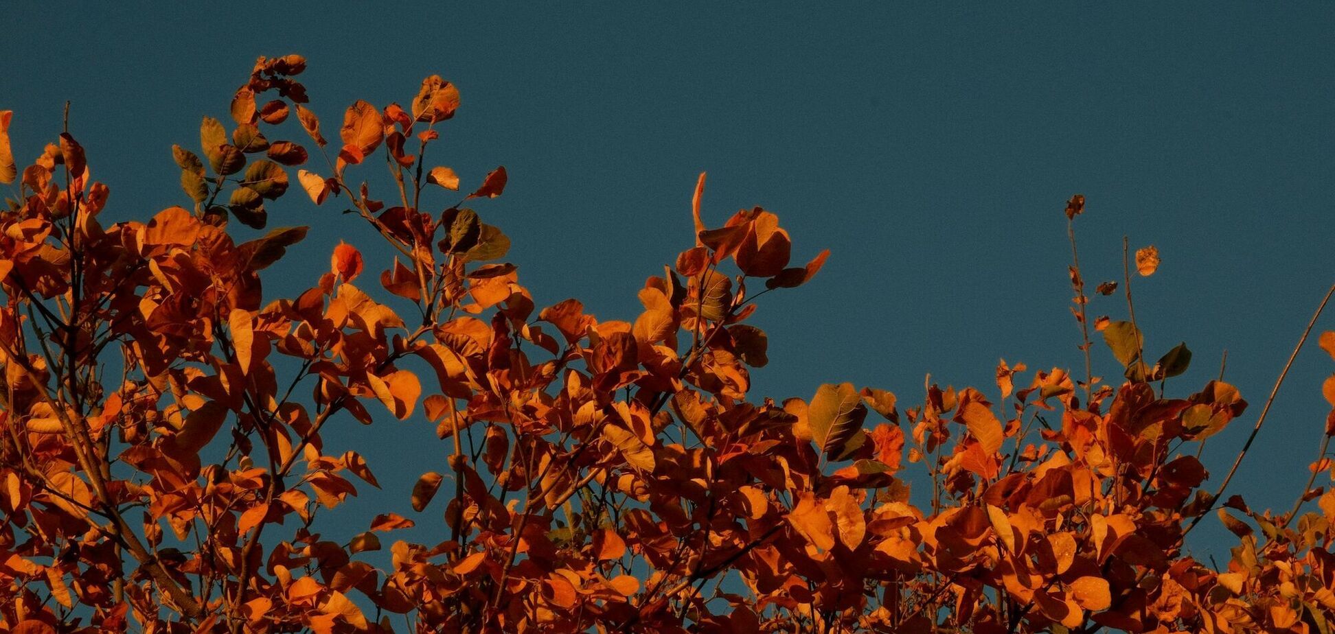 Будуть 'сюрпризи'? Синоптики дали прогноз погоди в Україні на жовтень