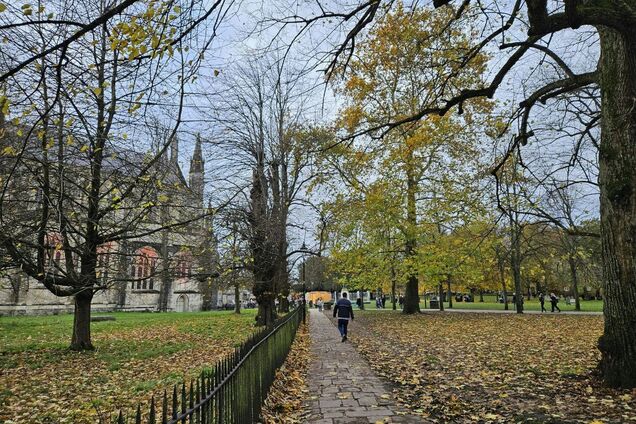 Ідеї для осінньої подорожі: названо найцікавіші напрямки