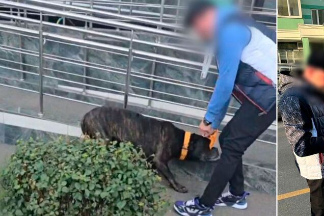 У Києві чоловік посеред вулиці побив собаку 'у виховних цілях': на інцидент відреагувала поліція. Фото
