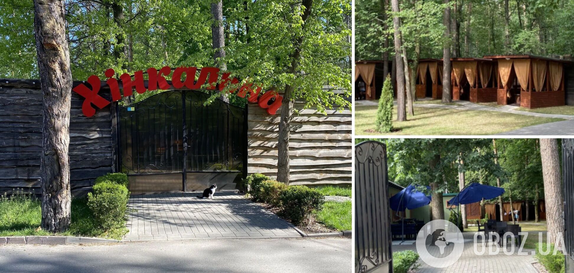 Можно снести: государственный регистратор прекратил право собственности на самовольно построенный ресторан в Голосеевском парке Киева. Фото