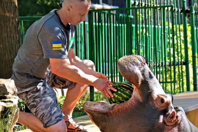 В Киевском зоопарке завершаются традиционные арбузные уикенды: кого будут угощать вкусной ягодой. Фото