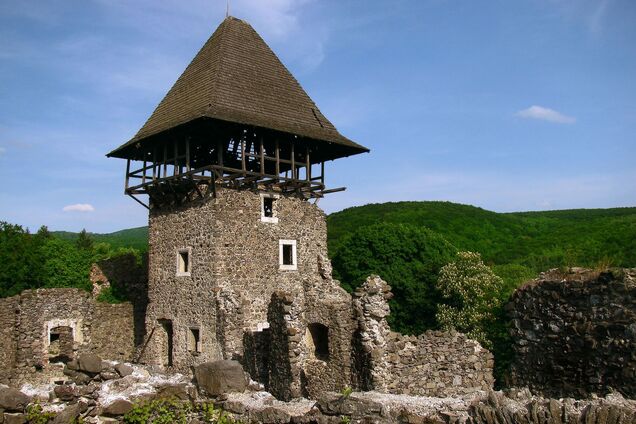 Яким було Закарпаття на початку XX століття: фото Невицького замку