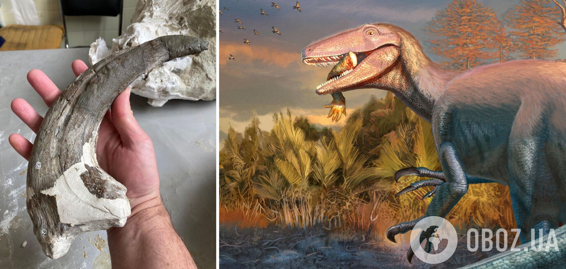 В Аргентине нашли останки гигантского динозавра с лапой крокодила в зубах: подробности