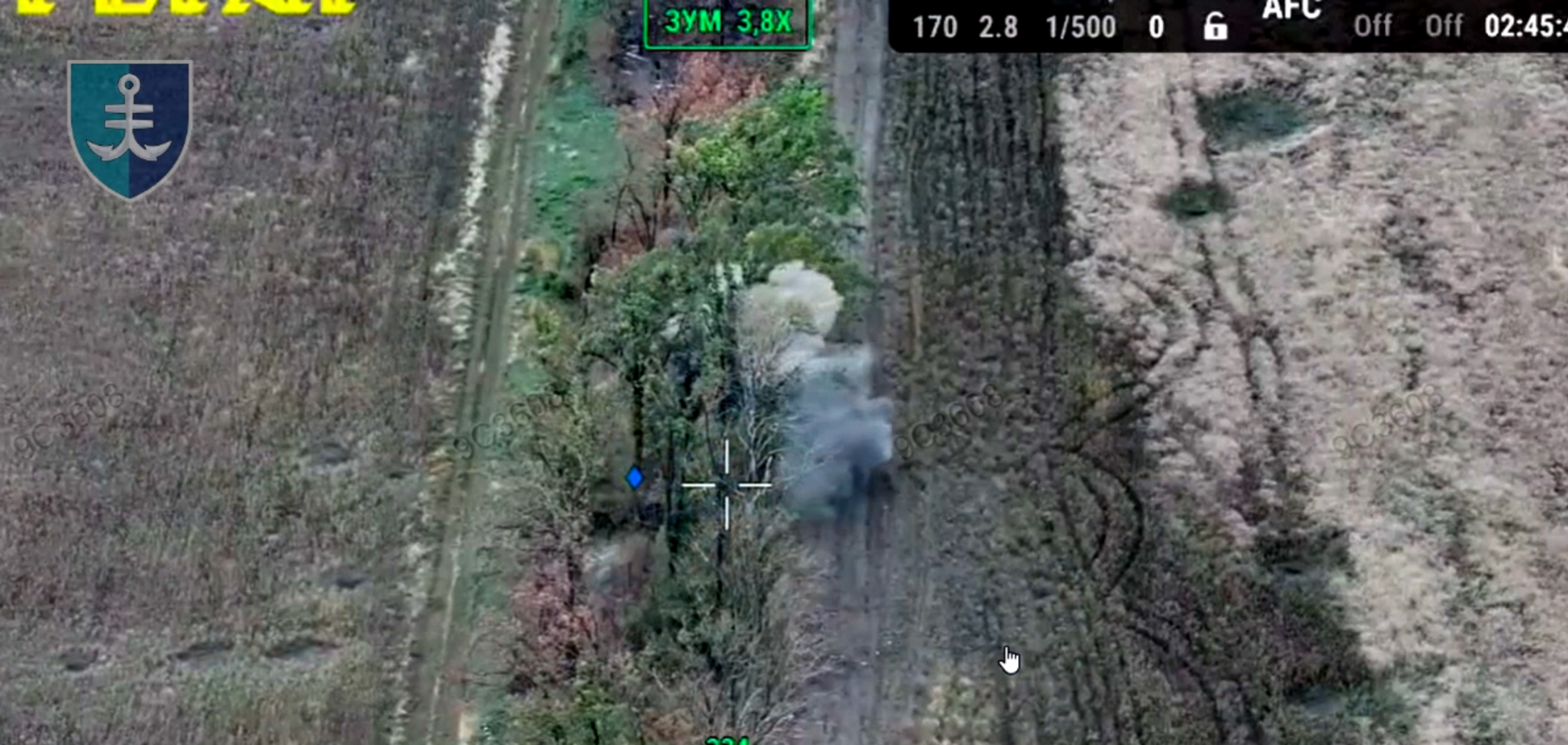 Украинские морпехи 'минуснули' вражескую пушку и взорвали тайник с БК врага: видео