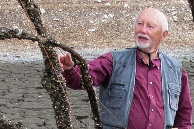 Сможет ли природа самостоятельно обновиться? Ученый рассказал, что сейчас происходит на месте Каховского водохранилища