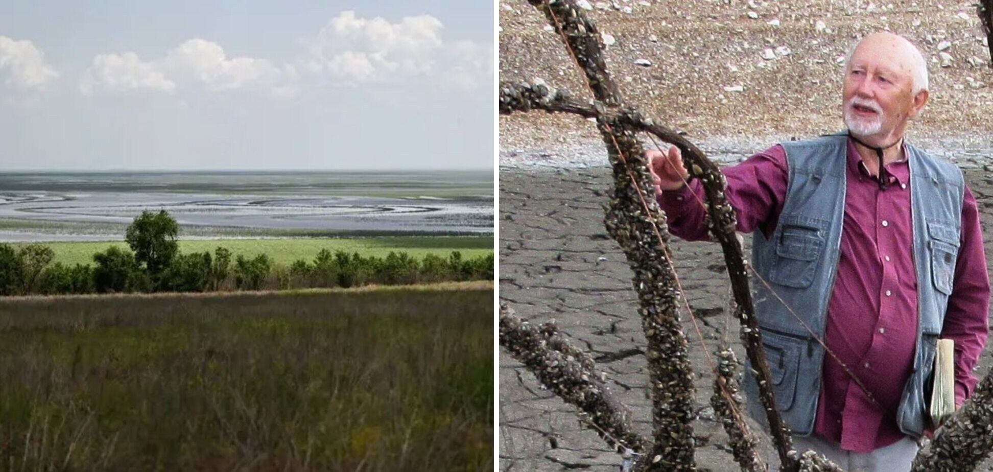 Сможет ли природа самостоятельно обновиться? Ученый рассказал, что сейчас происходит на месте Каховского водохранилища