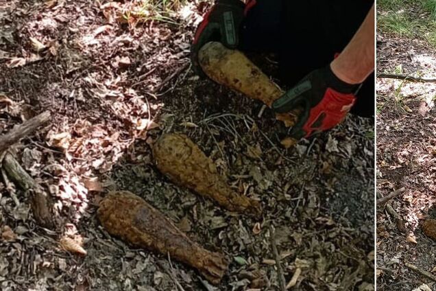 На Киевщине мужчина в лесу вместо грибов нашел мины. Подробности и фото