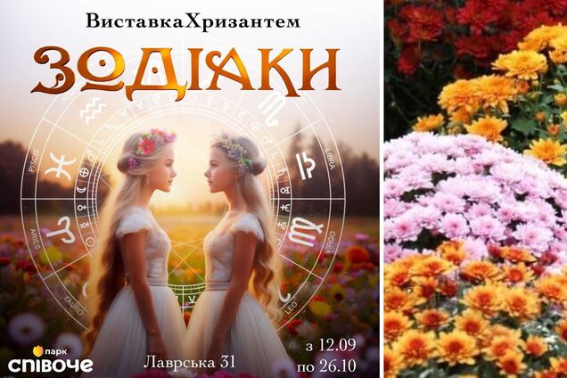 На 'Співочому' у Києві стартує виставка хризантем 'Зодіаки'