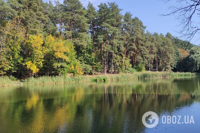 Без опадів та до +28°С: детальний прогноз погоди по Київщині на 4 вересня