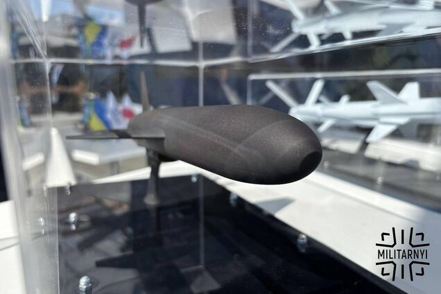 Обновлена конструкция крыльев и хвостового оперения: 'Укроборонпром' раскрыл характеристики дрона-камикадзе 'Паляница'