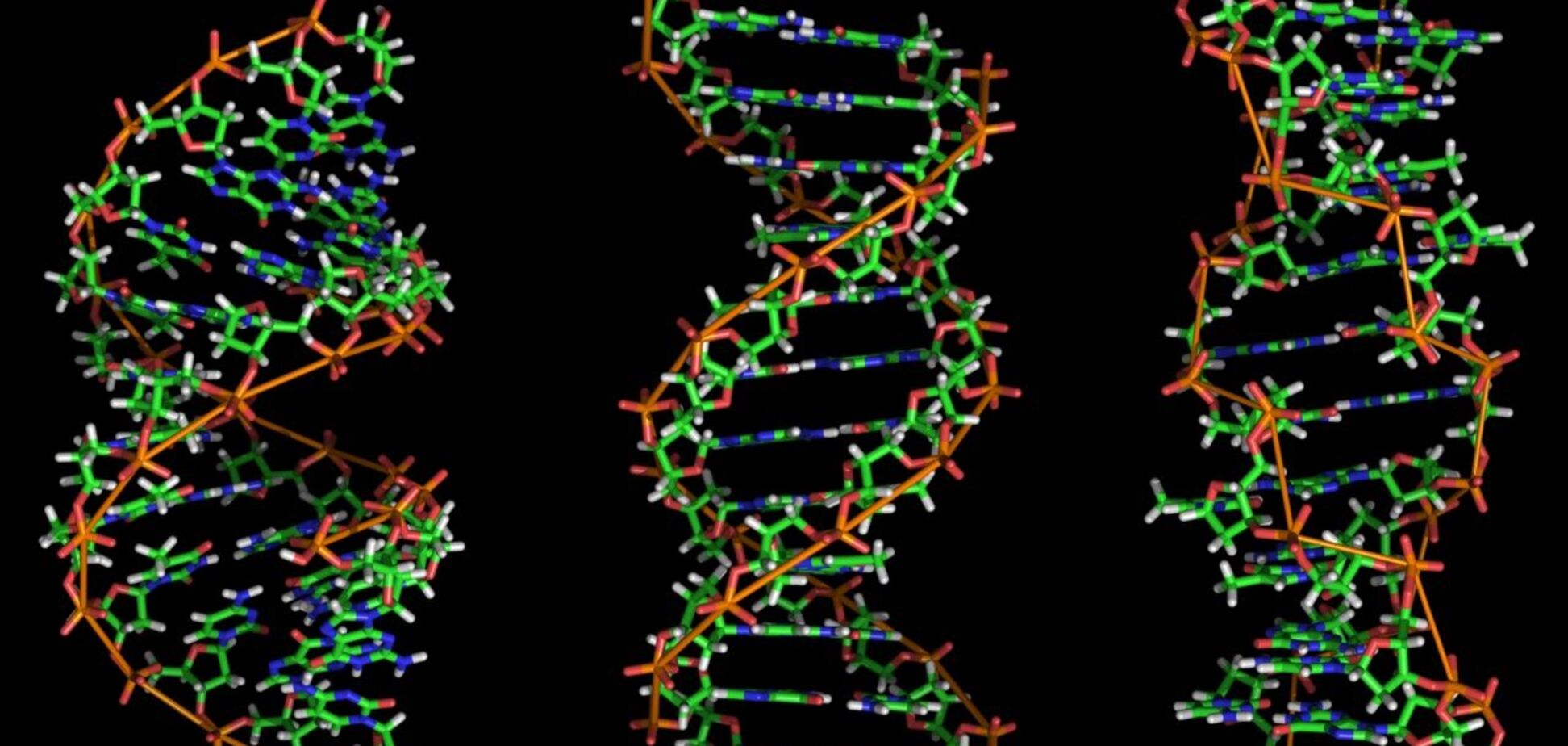 Як довго зберігається ДНК: вчені дали пояснення