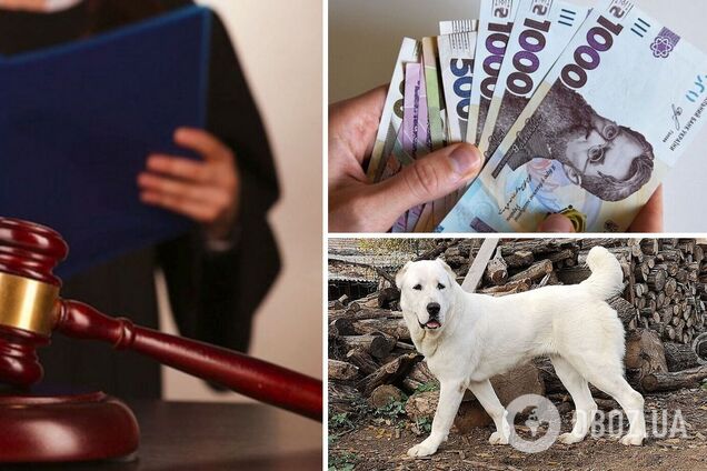 Женщина, которую укусила соседская собака, отсудила 30 тыс. за моральный ущерб: животное у владелицы забрали навсегда