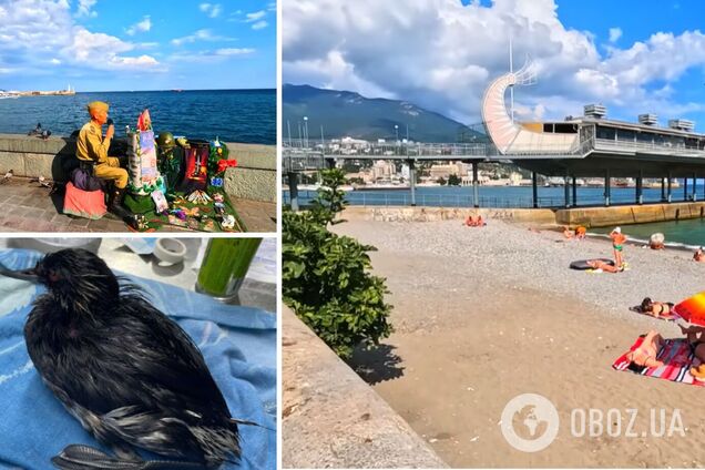 У Криму зірвано 'оксамитовий сезон': російські туристи пакують валізи і виїжджають через нафтову пляму