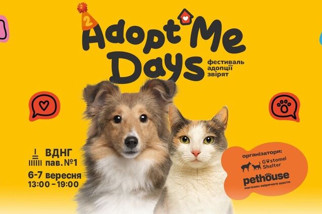 AdoptMe Days: у Києві відбудеться відбудеться 17-й фестиваль, де шукатимуть дім тваринам із притулків