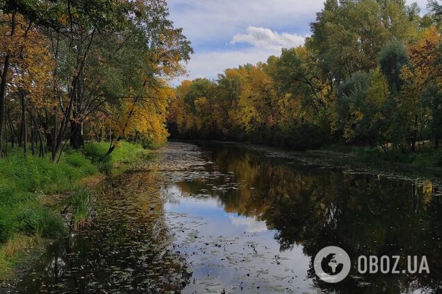 Без опадів та до +26°С: прогноз погоди по Київщині на 7 вересня