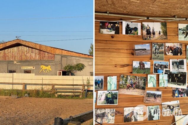 Из-за атаки армии России на Киевщине погибли семь лошадей: конюшня разрушена. Фото и видео