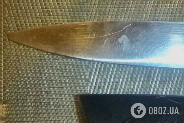 Нанес 27 ударов на двоих: в Кривом Роге внук жестоко убил бабушку и дедушку. Фото 18+