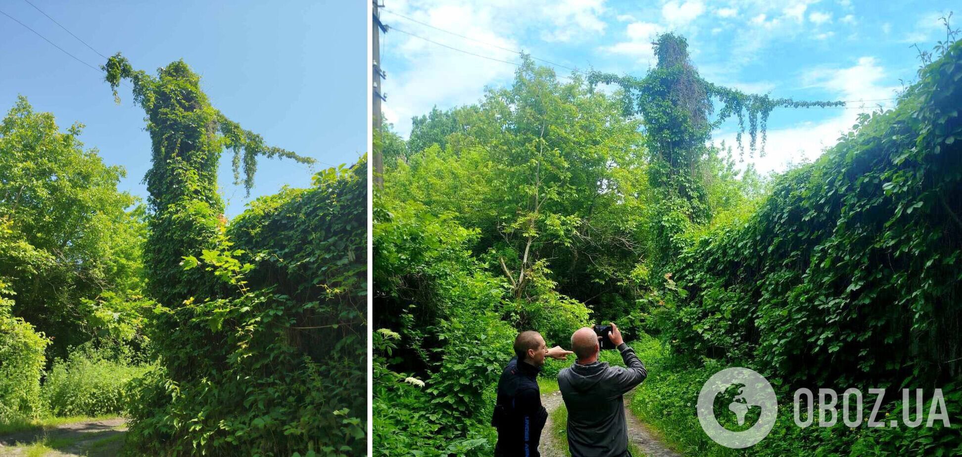 Молчаливые и неподвижные: в ГАЗО показали, как выглядят 'охранники Чернобыля'. Фото