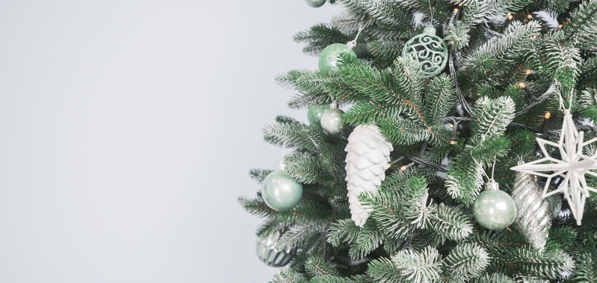 Що зробити з новорічною ялинкою після свят: поради від садівника короля Чарльза