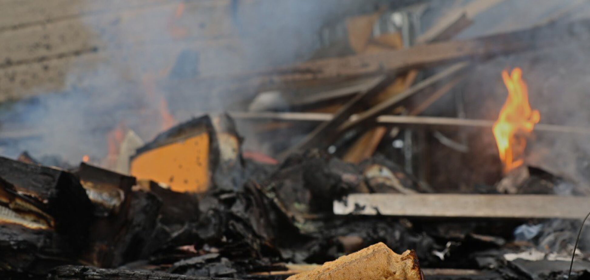 Оккупанты нанесли удар по экопарку под Харьковом: пострадала женщина, погибли птицы. Фото и видео