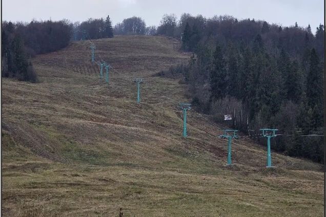 Хто отримав землю в Закарпатті