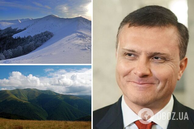 АРМА продала сім'ї чиновника Януковича 460 га землі в Карпатах за символічною ціною: усі подробиці