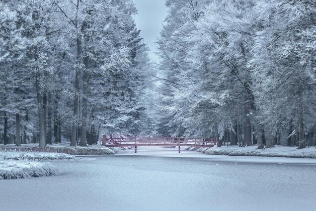 Чи прийдуть в Україну екстремальні морози: прогноз синоптикині