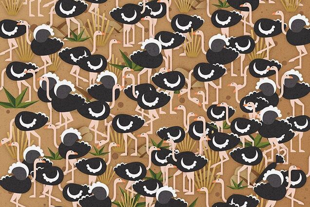 Знайдіть парасольку: головоломка на уважність