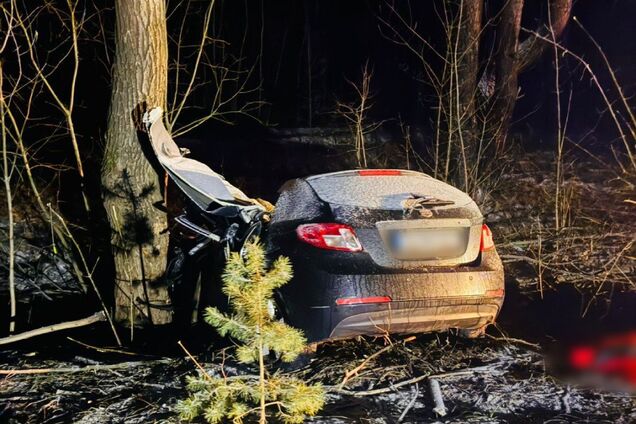 Авто влетіло в дерево: на Харківщині в ДТП загинула 25-річна жінка, серед постраждалих – діти. Фото