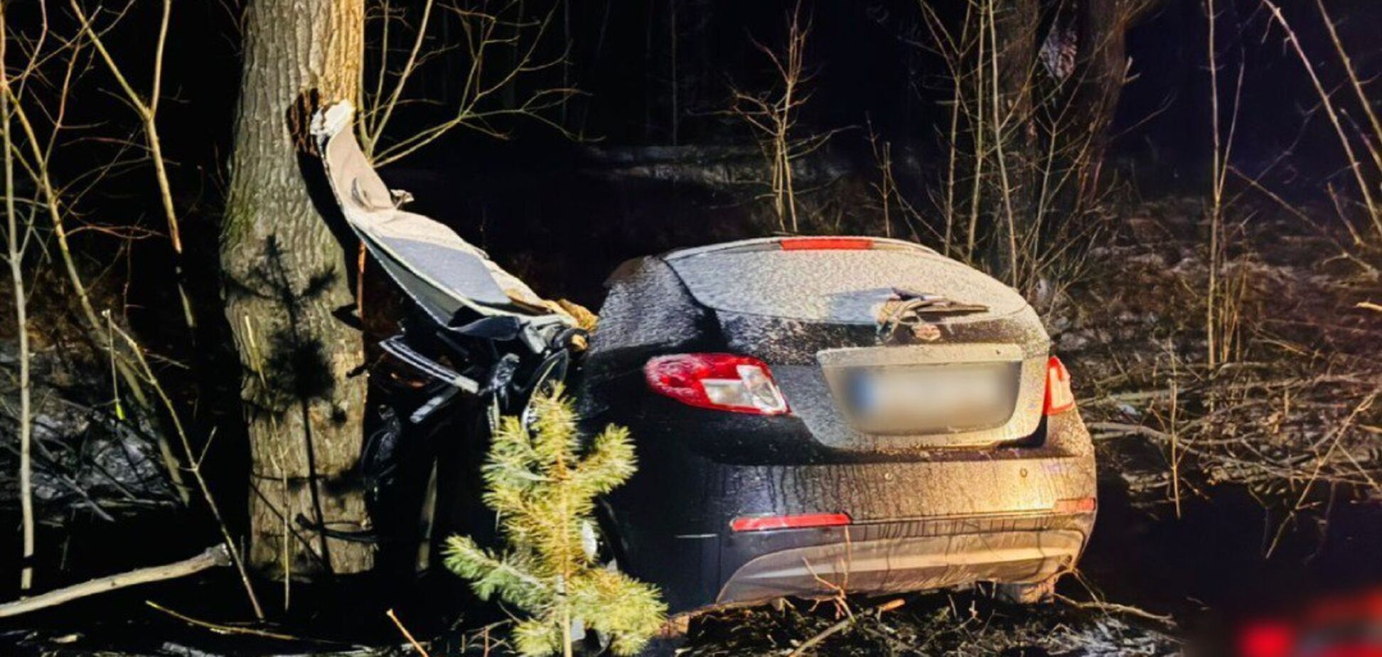 Авто влетіло в дерево: на Харківщині в ДТП загинула 25-річна жінка, серед постраждалих – діти. Фото