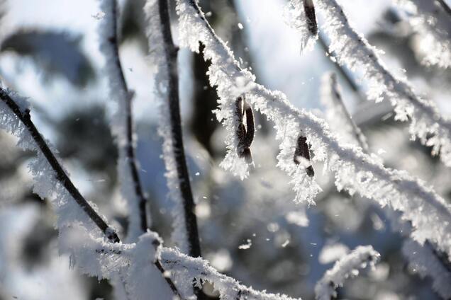 В Україні вдарить  до 20 градусів морозу, піде сніг: синоптикиня розповіла, де буде найхолодніше. Карта