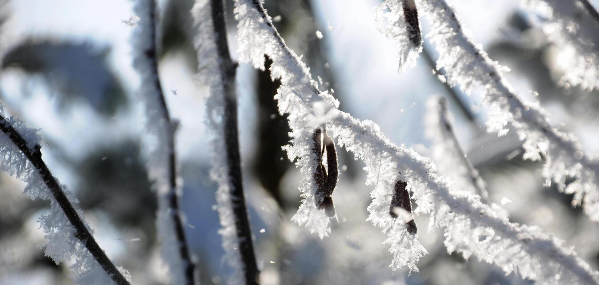 В Україні вдарить до 20 градусів морозу, піде сніг: синоптикиня розповіла, де буде найхолодніше. Карта