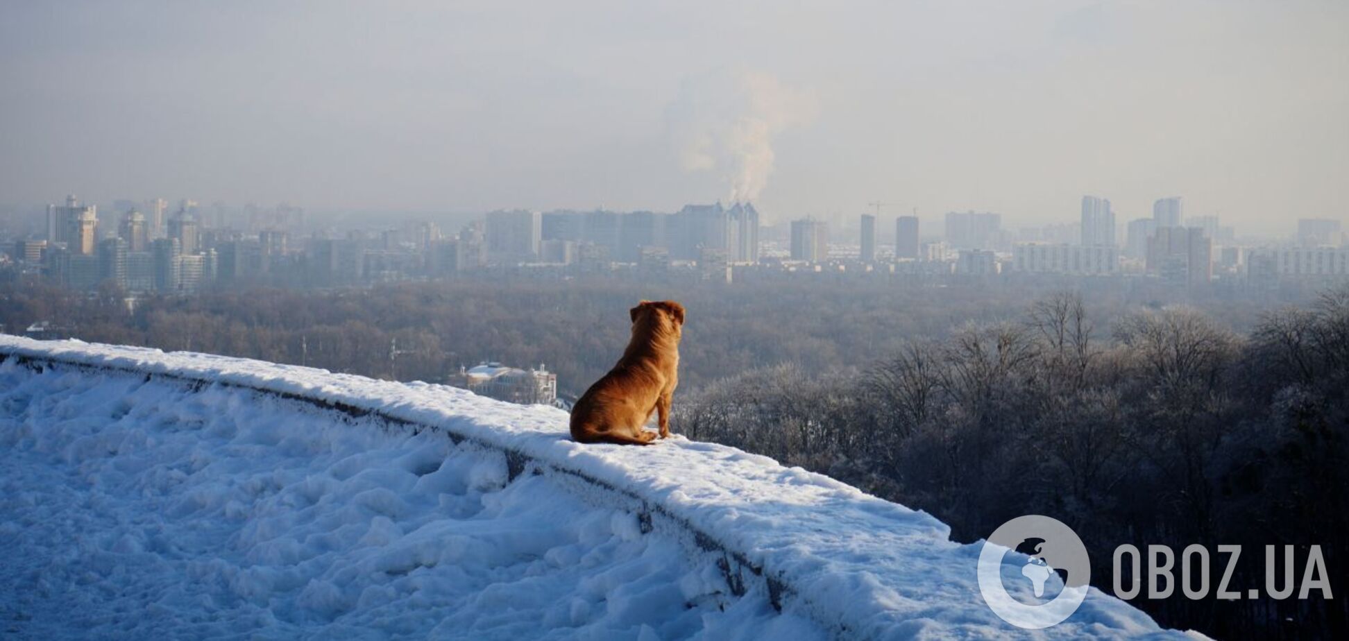 До -20°С вночі та вранці місцями туман: прогноз погоди у Києві та області на 14 січня