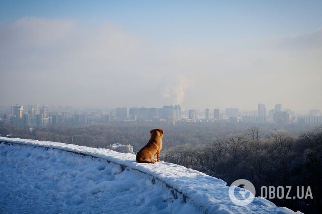 До -20°С и утром местами туман: прогноз погоды в Киеве и области на 14 января