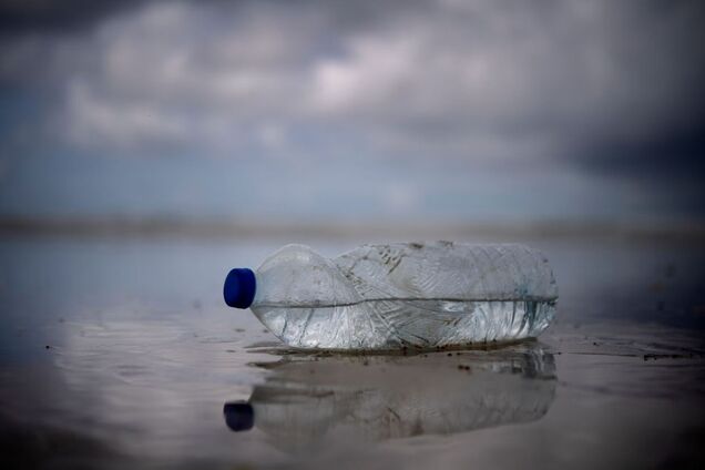 Микропластик из бутылок может убивать клетки поджелудочной и вызывать диабет: исследование