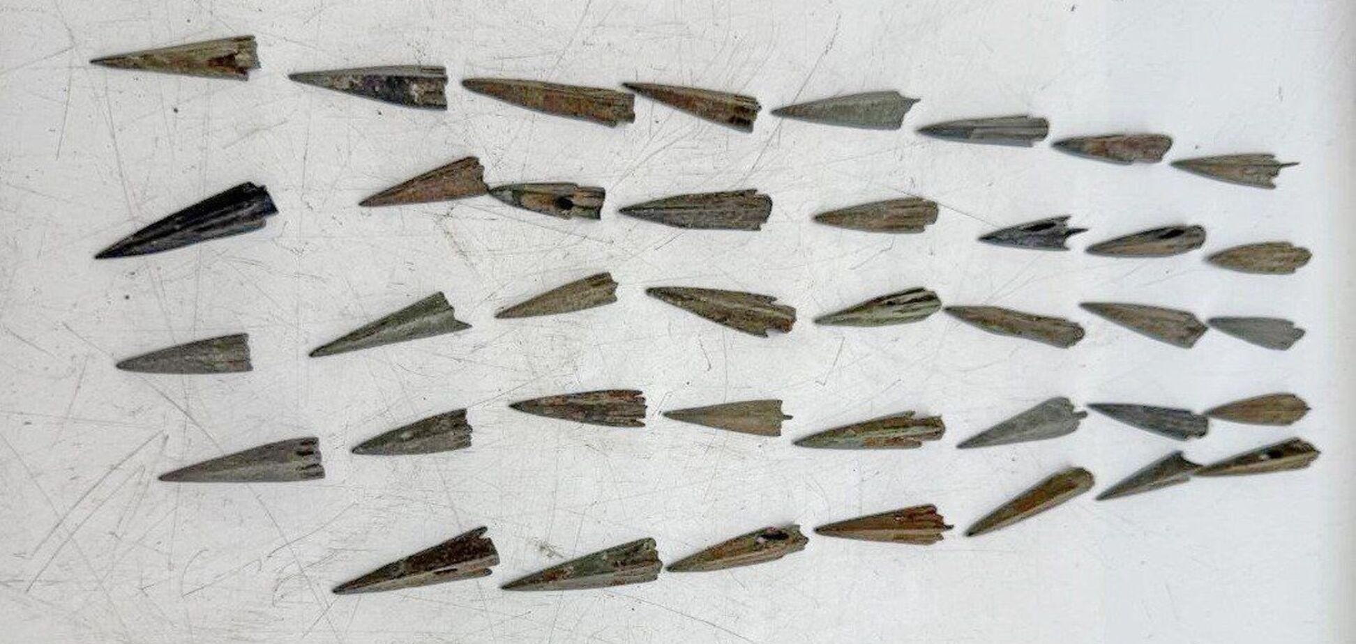 Из Украины хотели вывезти уникальную коллекцию монет и наконечников для стрел. Фото