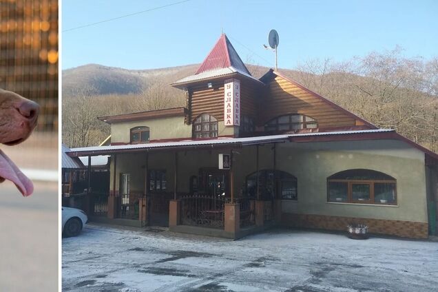 Зашивали рвані рани на нозі: на Закарпатті власник кафе нацькував на дітей собак