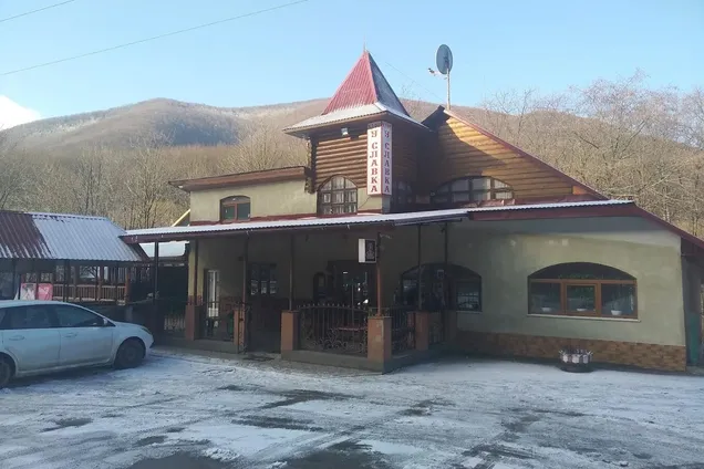 Зашивали рваные раны на ноге: на Закарпатье владелец кафе натравил на детей собак