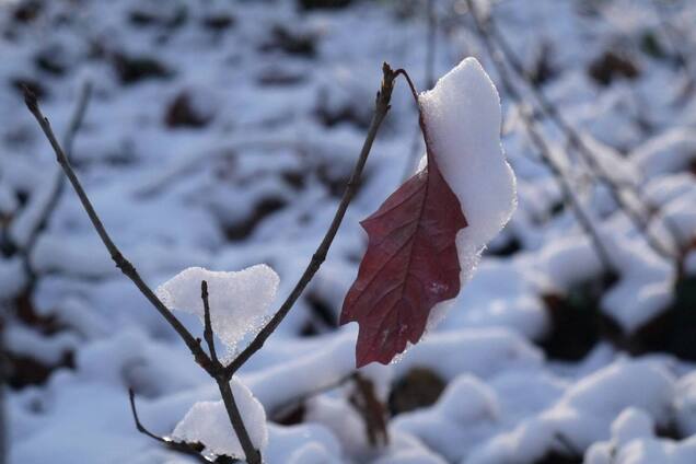 Сильні морози вночі та без опадів удень: прогноз погоди у Києві та області на 16 січня