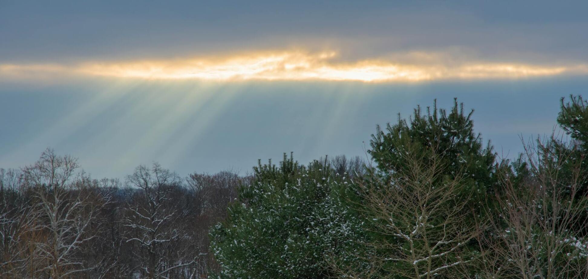 Какой праздник отмечают 25 января в Украине: все об этом дне
