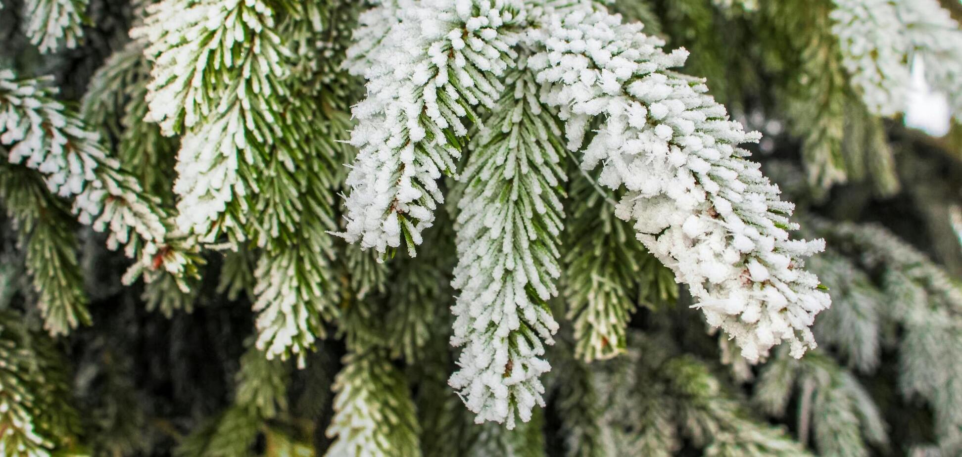 Можливе потепління: синоптики сказали, де на вихідних може бути 0 градусів. Карта