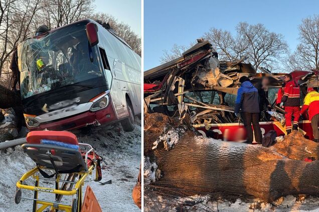 На Львівщині в ДТП потрапив автобус, який виконував міжнародний рейс: постраждали дев'ять людей. Фото і відео
