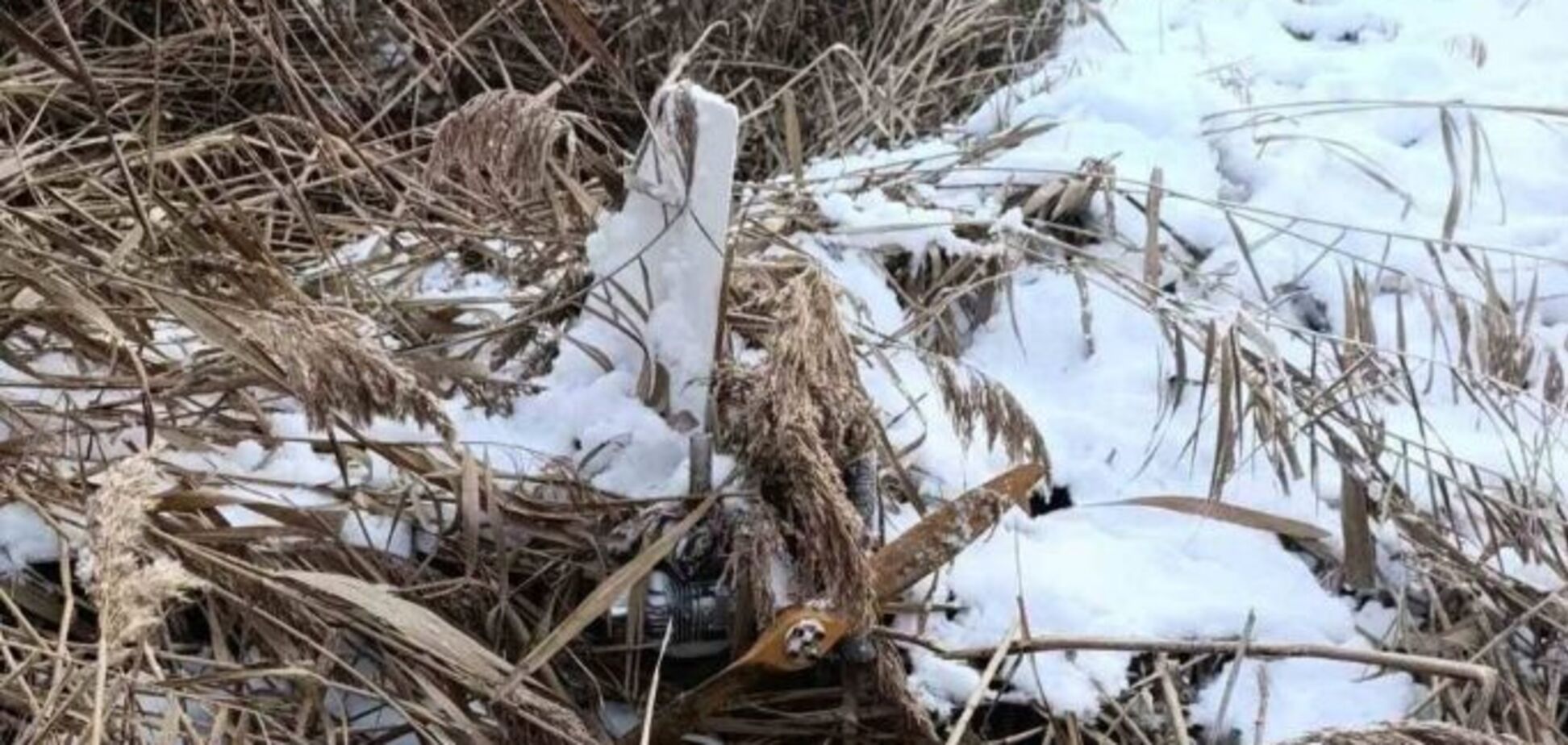 На місце викликали спецслужби: у Молдові на березі озера знайшли російський безпілотник. Фото