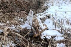 На місце викликали спецслужби: у Молдові на березі озера знайшли російський безпілотник. Фото